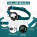 Royal Blue Airtag Cat Collar with Safety Lock & Elastic Band for Kittens (18-26cm) | Shop Now - Buy Online on GoSupps.com