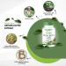 Fairvital Green Coffee Extract 500mg - High Dose 45% Chlorogenic Acid Vegan - 90 Capsules for Weight Loss & Health Benefits - Buy Online on GoSupps.com