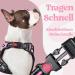 Rabbitgoo Small Dog Harness - Adjustable No-Choke Design Reflective Chest Strap & Padded Comfort (Pink) - Perfect for Easy Control & Training - Buy Online on GoSupps.com