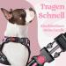 Rabbitgoo Dog Harness for Large Dogs Adjustable No-Choke Anti-Pull Pink Harness with Handle & Soft Padded Reflective Chest 1 Pack - Buy Online on GoSupps.com