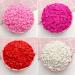 NIANTU1125 100g Lips Slices Polymer Hot Clay Sprinkles Crafts DIY Making for Phone Nail Art Decoration Slime Fillings Lip Glos Accessories Gift (Color : Colorful) - Buy Online on GoSupps.com