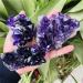 Room Decoration Home Decoration Natural Dream Amethyst Quartz Crystal Cluster Specimen Stones (Color : 90-100g Size : 2pc) 2pc 90-100g - Buy Online on GoSupps.com