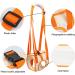 Dog Lifting Harness for Back Legs - Adjustable Support Rehab for Elderly & Injured Dogs (Medium) - Buy Online on GoSupps.com