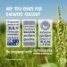 Boiron Ambrosia 30c Homeopathic Medicine for Ragweed Allergies - 3 Tubes, 3 Count - Buy Online on GoSupps.com