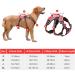 Heele Reflective Dog Crockery & Harness - Durable Comfortable Fit Panic-Resistant Red - Buy Online on GoSupps.com