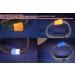 Bitbelt 12 Pack - Protect Your Fitbit, Garmin, or MagicBand - Buy Online on GoSupps.com