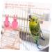 Angoily 2-Pack Parrot Diaper Flight Suit for Birds - Adjustable Uniforms with Suede Wavy Belt - Ideal for Nymphensittich & Pets - Buy Online on GoSupps.com