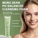 Mousse nettoyante au pH quilibr au haricot mungo Nettoyant visage doux pour un nettoyage en profondeur des pores nettoyant visage hydratant apaisant (2) - Buy Online on GoSupps.com