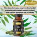 Puranicals Neem Premium 320 Capsules Non GMO and Gluten Free | Herbal Supplement | 600 mg Per Serving | Made with 100% Pure Herb Neem Powder - Buy Online on GoSupps.com