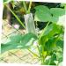 4pcs Shaped Growth Mold Fruit Molds Cucumber Shaping Heart Fruit Growth Mold Pumpkin Molds for Cucumber Molds for Garden Cookie Decorating Tools Cucumbers Plastic Shaper Star Shape - Buy Online on GoSupps.com