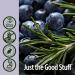 Nature's Answer Juniper Berry Supplement - Organic Alcohol Urinary Tract Support & Healthy Kidneys | 2 oz International Shipping - Buy Online on GoSupps.com