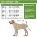 Suitical Original Recovery Suit - Professional Alternative to Dog Cone for Medium Dogs - Black - Buy Online on GoSupps.com