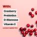Cystex UTI Support Cranberry Prebiotic Supplement 7.6 oz (2 Pack) Liquid - D-Mannose, Vitamin C for UTI Protection & Urinary Health Maintenance - Buy Online on GoSupps.com