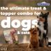 NutriBites Freeze Dried Salmon Dog & Cat Treats 18.3 oz | Healthy Pet Training Treats or Food Topper | All Natural 1 Single Animal Protein High Protein | Premium Bulk Value Pack 520g Salmon 1 count (Pack of 1) - Buy Online on GoSupps.com