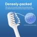 Replacement Toothbrush Heads for Waterpik & AquaSonic Duo | 10 Count | Best Electric Toothbrush Accessories - Buy Online on GoSupps.com
