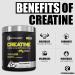 Forzagen Creatine Monohydrate Capsules 360 Capsules, Muscle Gaining Support, Strength Improve 360 Count (Pack of 1) - Buy Online on GoSupps.com
