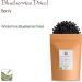 Blue Berries Whole Organic Billberies - Dehydrated unsweetend no sugar added blueberrys - Vaccinium myrtillus L 100g - Buy Online on GoSupps.com