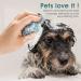 Molain Silicone Pet Bath Brush Comb - Grooming & Massage Tool with Shampoo Dispenser (Blue Paw Shape) - Buy Online on GoSupps.com