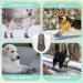 Slowton Dog Shoes - Waterproof Non-Slip Paw Protection Boots for Small & Medium Dogs | Reflective Velcro Fastener | Size 4 (Gray) - Winter Outdoor Gear - Buy Online on GoSupps.com
