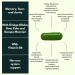 NutraKing Ginkgo Biloba High Strength Brain Booster Capsule (32 Day Supply) - Brain Supplement Complex for Focus Energy Memory & Mood with Bacopa Monnieri Choline & Vitamin B6 for Brain - Buy Online on GoSupps.com