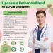Liposomal Berberine Supplement 1500mg, 2-in-1 Extra Strength GLP-1 Moringa Berberine Drops Support Metabolic Digestive Gut Heart Health & Vitamin Nutrients for Women Men Vegan Non-GMO, 30 Servings Raspberry 1 Fl Oz (Pack of  - Buy Online on GoSupps.com