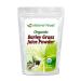 Organic Barley Grass Juice Powder - 1 lb - Amazing Green Superfood Perfect For Smoothies, Drinks, Recipes - Rich In Vitamins, Minerals, Antioxidants - Raw, Vegan, Non GMO Barley Grass 1 Pound (Pack of 1)