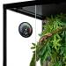 Buy 2 Packs 2-in-1 Thermometer Hygrometer Terrarium - No Battery Needed for Accurate Temp & Moisture Monitoring - Buy Online on GoSupps.com