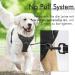 Rabbitgoo No-Pull Dog Harness for Large Dogs - Adjustable Padded Control Chest Harness - Black XL - Safe and Comfortable Puppy Dishes (1 Pack) - Buy Online on GoSupps.com