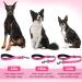Vivaglory Short Dog Leash - 61cm Pink Traffic Leash for Medium & Large Dogs - Durable Training Line - Buy Online on GoSupps.com