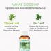 Green Cure Bronchicure Herbal Lung Detox Syrup | Thyme & Ivy Leaf Extract | Respiratory Support | German Science with Ayurveda | 3.4 Fl Oz - Buy Online on GoSupps.com