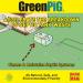 Green Pig 52 Live Tank Treatment | Prevent Backups | Breakdown Septic Waste | 1 Year Supply - 4 Packets - Buy Online on GoSupps.com