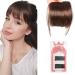 Clip in Bangs Real Human Hair Thin Clip on Bangs Clip in Fringe Bangs Hair Clip Air Bangs Clip in Bangs for Women Hair Extensions Fashion Wispy Bangs Fringe Air Bangs Clip for Daily Wear SW65-2/30