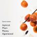 PHLUR Apricot Priv e Eau de Parfum - Full Size Perfume for Women & Men Fragrance - Woody & Fruity Perfume with Apricot Jasmine & Sandalwood (50mL) 10.86 Fl Oz (Pack of 1) - Buy Online on GoSupps.com