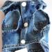 AMAONE Chihuahua Dog Coat - Leopard Bowknot Winter Jacket for Small Dogs - One Size 0207FRBKB-Blue B - Buy Online on GoSupps.com