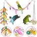KATUMO Natural Coconut Bird House with Colorful Toys & Ladder - for Parakeet, Conure, Cockatiel, Mynah, Love Birds, Finch - Hanging Chewing Toys, Hammock, Climbing Ladder, Bells Included - Buy Online on GoSupps.com