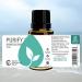 Buy Rocky Mountain Oils Purify Essential Oil Blend 15ml - Organic Diffuser Oil with Frankincense & Sage for Aromatherapy | Perfect for Home Spa & Hotel Use - Buy Online on GoSupps.com
