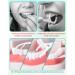 NETONDA Dental Floss Sticks - Pack of 150 - Buy Online on GoSupps.com