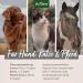 AniForte Premium Salmon Oil 500ml for Dogs, Cats, Horses & Pets - 100% Pure Norwegian Fish Oil with Omega 3, 6, EPA, DHA & ALA for Coat, Skin, Joints & Brain Health - Buy Online on GoSupps.com