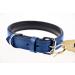 Sniffing Fans Leather Dog Collar - Padded Robust Adjustable for All Sizes (XL 46-55cm Blue) - Ideal for Large Medium and Small Dogs - Buy Online on GoSupps.com