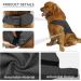 Breathable Thunder Shirts for Dogs - Kittystar Anxiety Relief Jacket - Gray M Medium - Shipping Worldwide - Buy Online on GoSupps.com