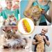 Cat Steamy Brush 3 In 1 Steamy Cat Brush Cat Spray Massage Comb with Water Tank Multifunctional Cat Grooming Brush for Massages Spray Steam Cat Hair Brush for Removing Tangled and Loose Hair (Yellow) - Buy Online on GoSupps.com