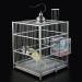 SETCO Automatic Bird Feeder for Parakeet, Canary, Cockatiel, Parrot, Finch - No Mess Seed Food Container - Buy Online on GoSupps.com