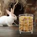 PATKAW Metal Rabbit Grass Feeder Free Standing Bunny Grass Feeder Rack Small Animals Feeding Holder Rabbit Cage Grass Dispenser Bunny Food Manger Rack - Buy Online on GoSupps.com