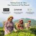 Vahdam Variety Tea Trial Set - 25 Flavors 50 Pieces | Green Herbal Black Chai - Perfect Gift for Tea Lovers | Langblatt Pyramid Tea Bags - Buy Online on GoSupps.com