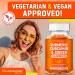 Biotin & Turmeric Vegan Gummies Combo | Max Strength Hair Growth Skin Health and Overall Wellness | 10000mcg Biotin & 95% Standardized Turmeric Curcumin | Natural Non-GMO and Gluten-Free Supplement - Buy Online on GoSupps.com