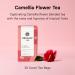 Buy Osulloc Camellia Flower Tea Tropical Fruity Flavors 20 Tea Bags (1.06 oz) | Jeju Premium Tea - Buy Online on GoSupps.com