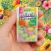 Woogie Mints Tutti Frutti Lot de 2 Drag es fruit es rafra chissantes 2x4 bo tes de 16g Id al en d placement au bureau & en voiture Go t fruit intense pour une haleine fra che - Buy Online on GoSupps.com