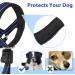 Adjustable Barkless Soft Dog Muzzle for Medium & Large Dogs - No Pulling Comfortable Fit Easy Control for Walks - Blue L (Snout 9.5-14) - Buy Online on GoSupps.com