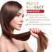 Organic Castor Oil for Hair Growth Pure Naturals Cold Pressed Hair Growth Oil Moisturize Scalp and Promote Hair Growth Strengthen Hair Roots and Prevent Bifurcation 59ml - Buy Online on GoSupps.com