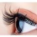 40 Pairs False Eyelashes Set - 3D Dense Natural Reusable Eyelashes - Easy Wear DIY Eyelash Extension Kit for Christmas Parties & Dates - Buy Online on GoSupps.com